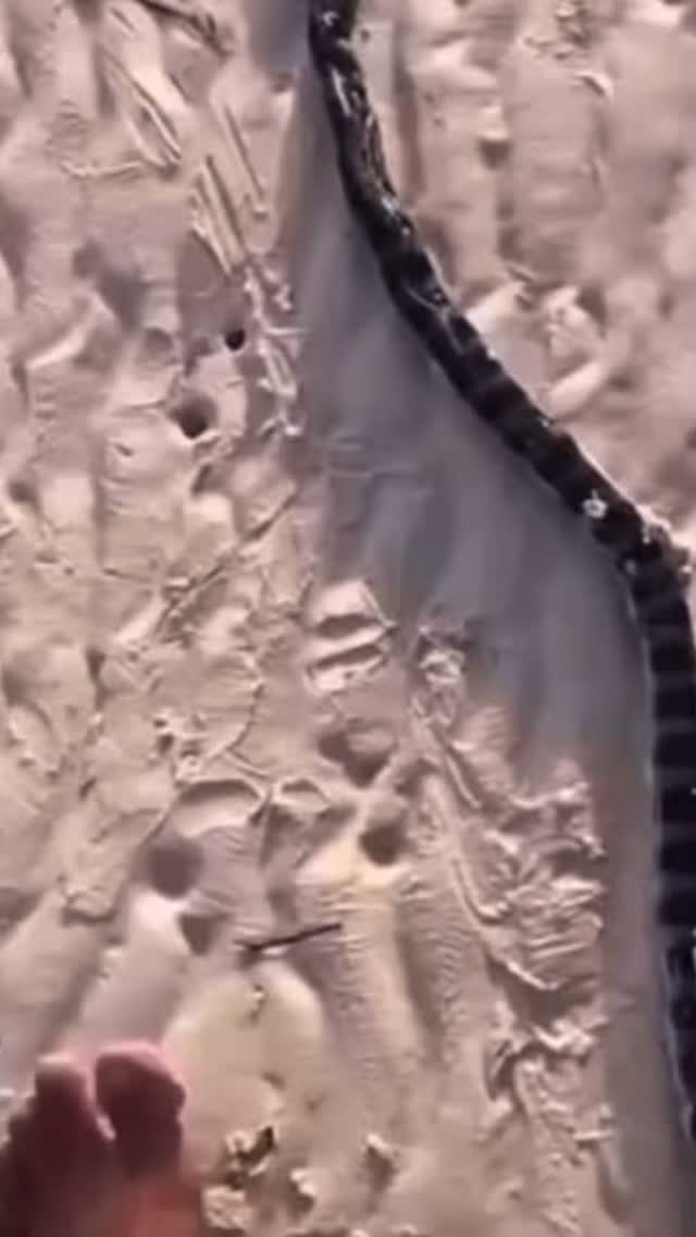 Instagram post from rofpsrifle. This post is in position 18.